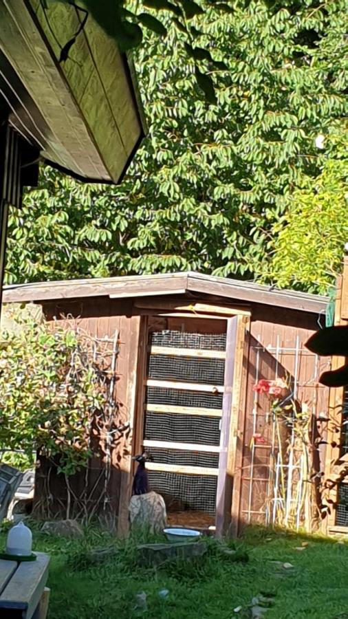 Ferienhaus Nr. 60 Im Ferienpark Am Twistesee 巴特阿罗尔森 外观 照片